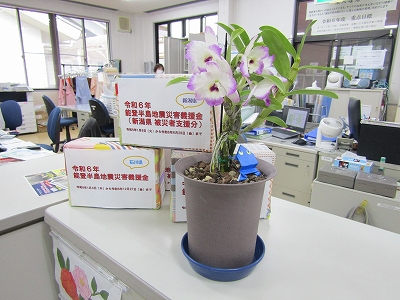 地域の方に蘭の花をお借りして事務所に飾っています。