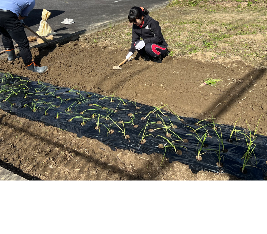 うぃず畑通信～11月～