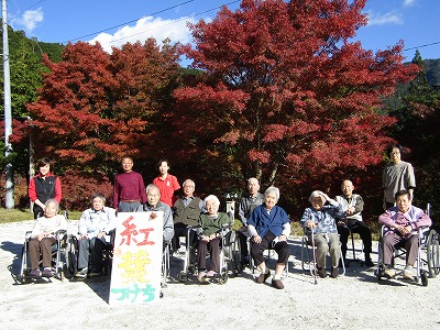 11月、紅葉見学に行ってきました